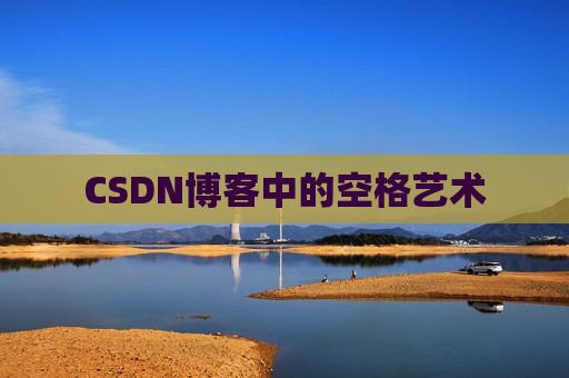 CSDN博客中的空格艺术